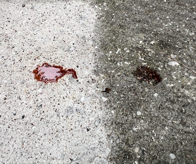 Red wine stain test on split concrete surface — beading on sealed side, soaking and staining on unsealed side